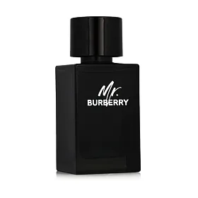 Burberry Mr. Burberry Parfumová voda 150 ml (man)