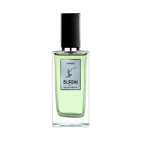 Burdin Carrure EDP 100 ml (man)