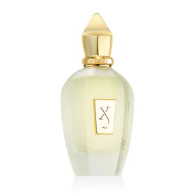 Xerjoff Sketchbook P.33 Parfum 100 ml (unisex)