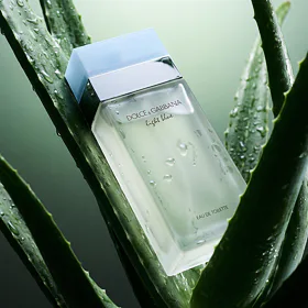 Dolce & Gabbana Light Blue EDT 50 ml (woman)