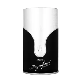 Armaf Magnificent Pour Homme EDP 100 ml (man)