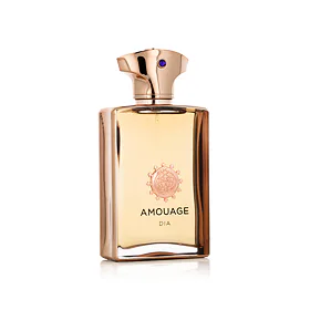 Amouage Dia Man EDP 100 ml (man)