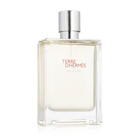 Hermès Terre D'Hermès Eau Givrée EDP plniteľný 100 ml (man)