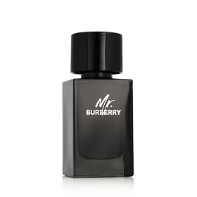 Burberry Mr. Burberry Parfumová voda 100 ml (man)