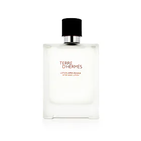 Hermès Terre D'Hermès AS 100 ml (man)