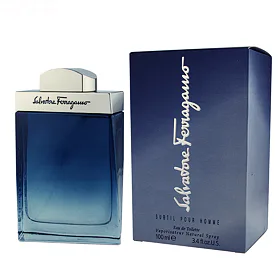 Salvatore Ferragamo Subtil pour Homme EDT 100 ml (man)