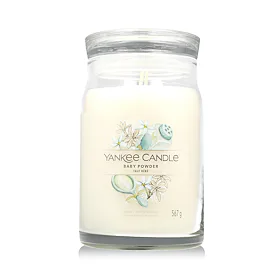Yankee Candle vonná sviečka Praline & Birch 567 g